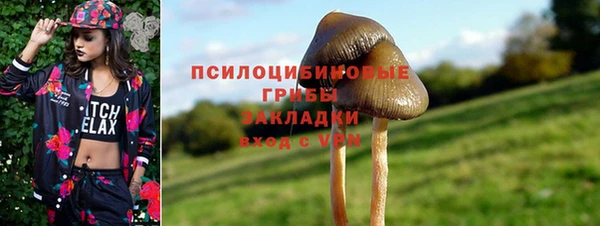 наркотики Каменногорск